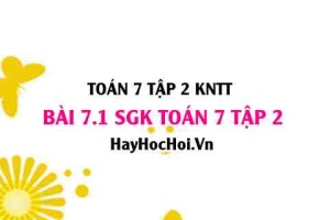 Bài 7.1 SGK Toán 7 tập 2 Kết nối tri thức